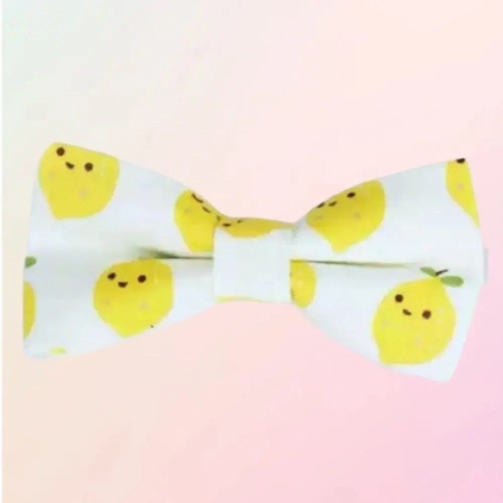 Trendy & Bright, Youth Adjustable Fruity Bow Tie, Assorted, One Size